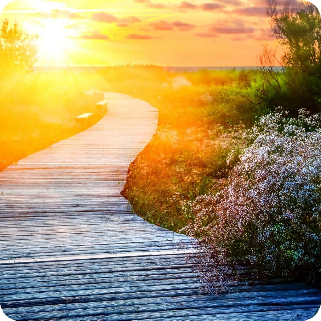 Christophe Chevallier, énergéticien et tarologue